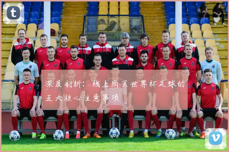 深度剖析:线上购买世界杯足球的五大核心注意事项