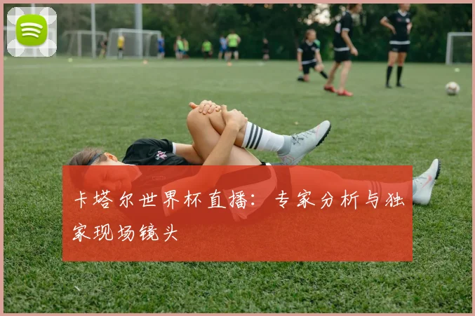 卡塔尔世界杯直播:专家分析与独家现场镜头