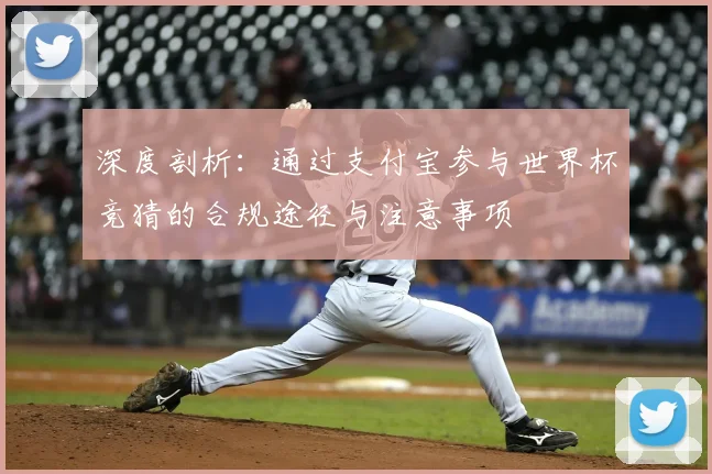 深度剖析：通过支付宝参与世界杯竞猜的合规途径与注意事项