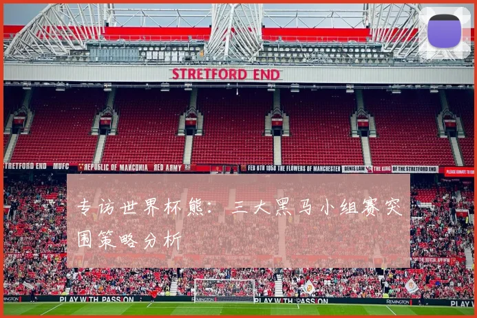 专访世界杯熊：三大黑马小组赛突围策略分析