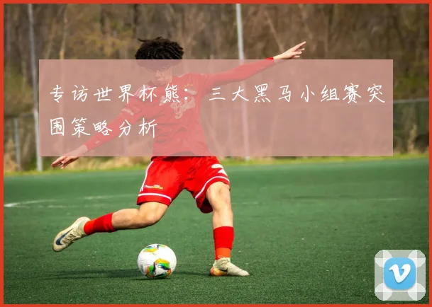 专访世界杯熊：三大黑马小组赛突围策略分析