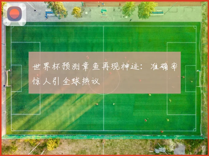 世界杯预测章鱼再现神迹:准确率惊人引全球热议
