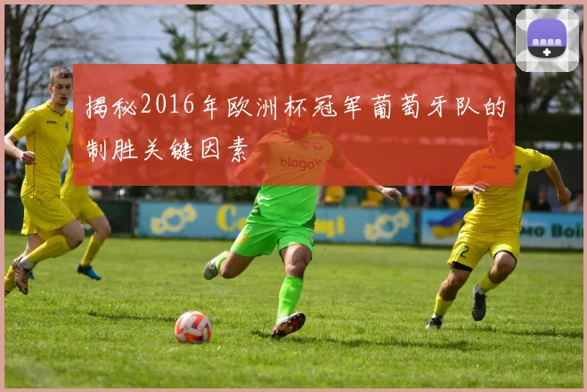 揭秘2016年欧洲杯冠军葡萄牙队的制胜关键因素