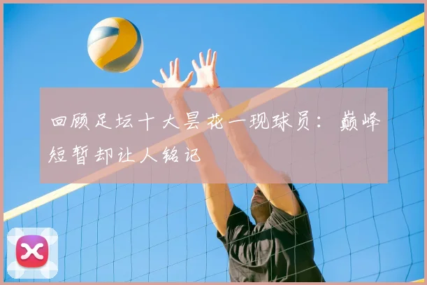 回顾足坛十大昙花一现球员：巅峰短暂却让人铭记